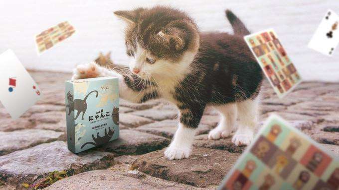 Meow Star Cat Playing Cards USPCC - Image 10