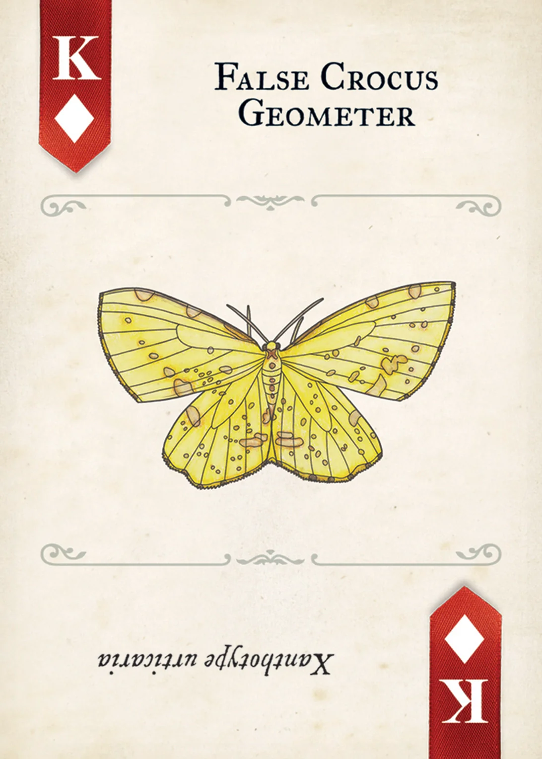 Moths Playing Cards - Image 6