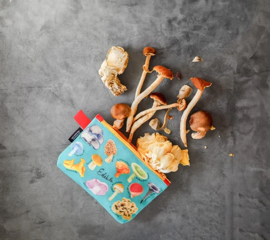 Mushroom Zipper Bag - Image 4