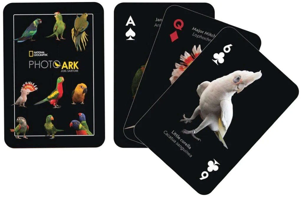 National Geographic Parrots Playing Cards NYPC - Image 2