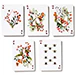 Nectar Meadows Playing Cards - Image 5