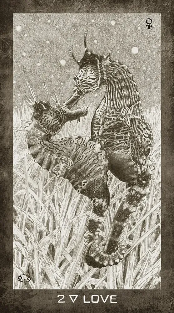 New Era Elements Tarot Deck USGS - Image 7