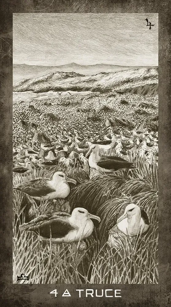 New Era Elements Tarot Deck USGS - Image 9