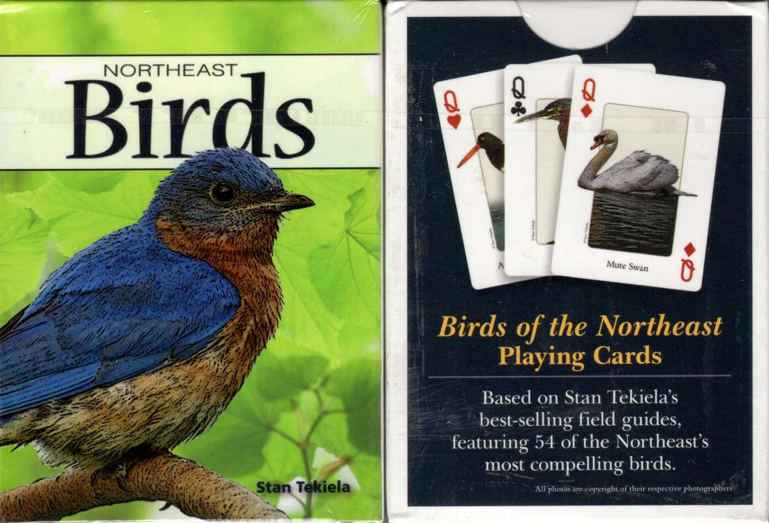 Northeast Birds Playing Cards