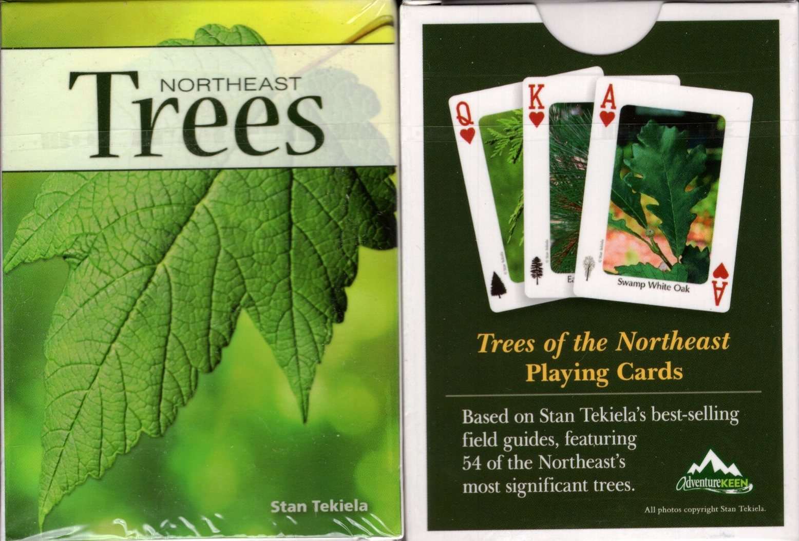 Northeast Trees Playing Cards