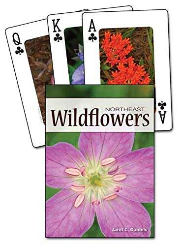 Northeast Wildflowers Playing Cards - Image 2