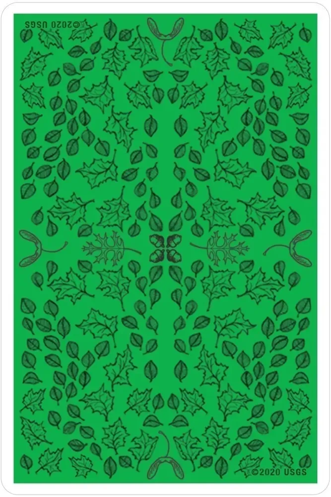 Oracle of the Trees - Image 10