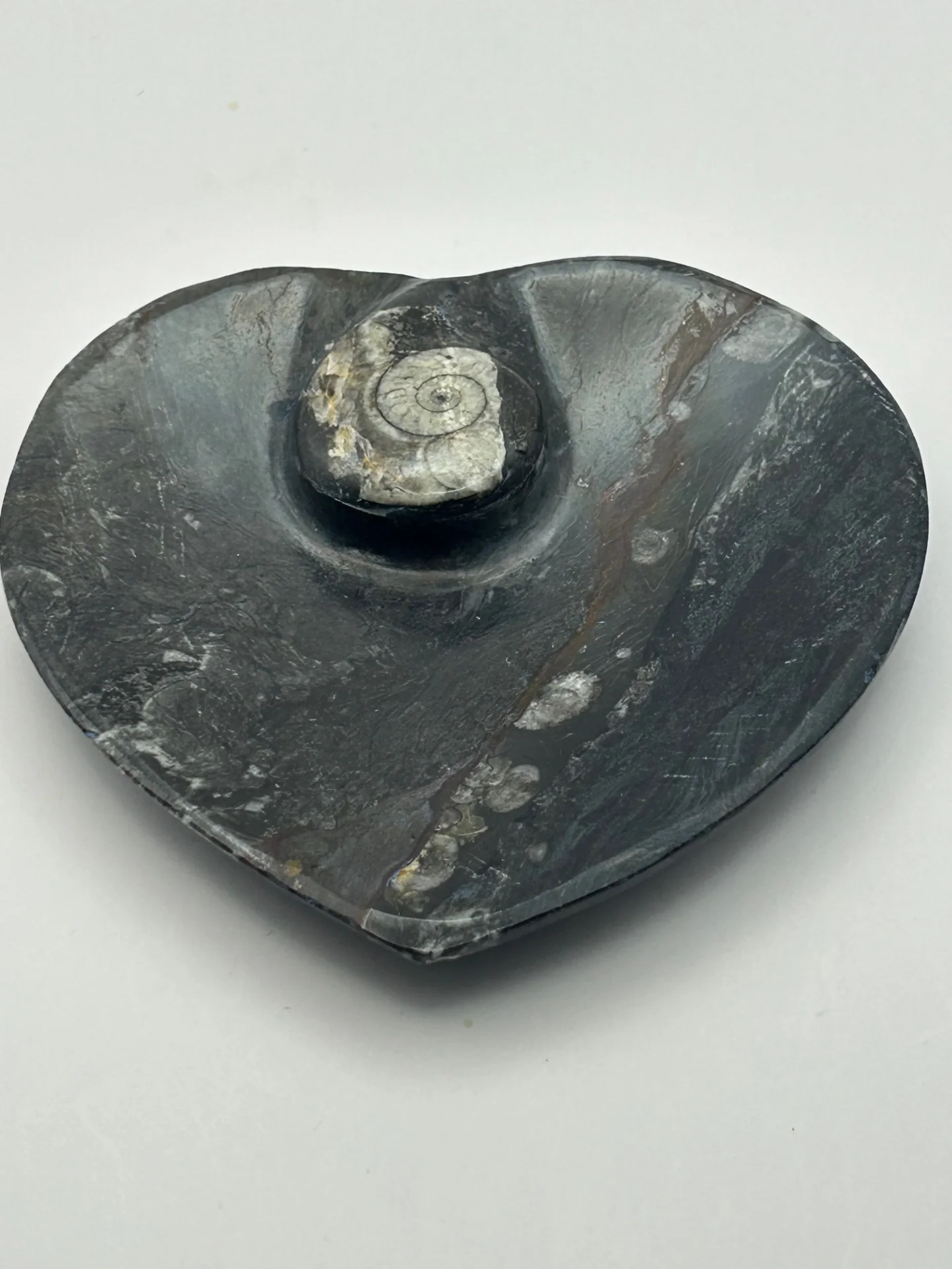 Orthoceras Fossil Heart Shaped Dish - Image 2
