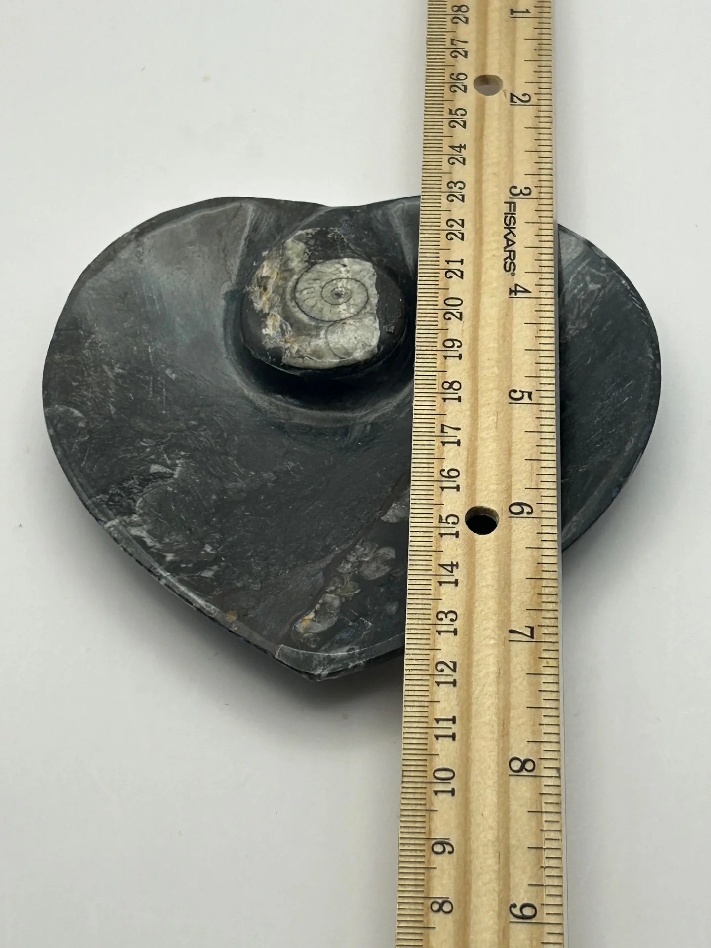 Orthoceras Fossil Heart Shaped Dish - Image 3