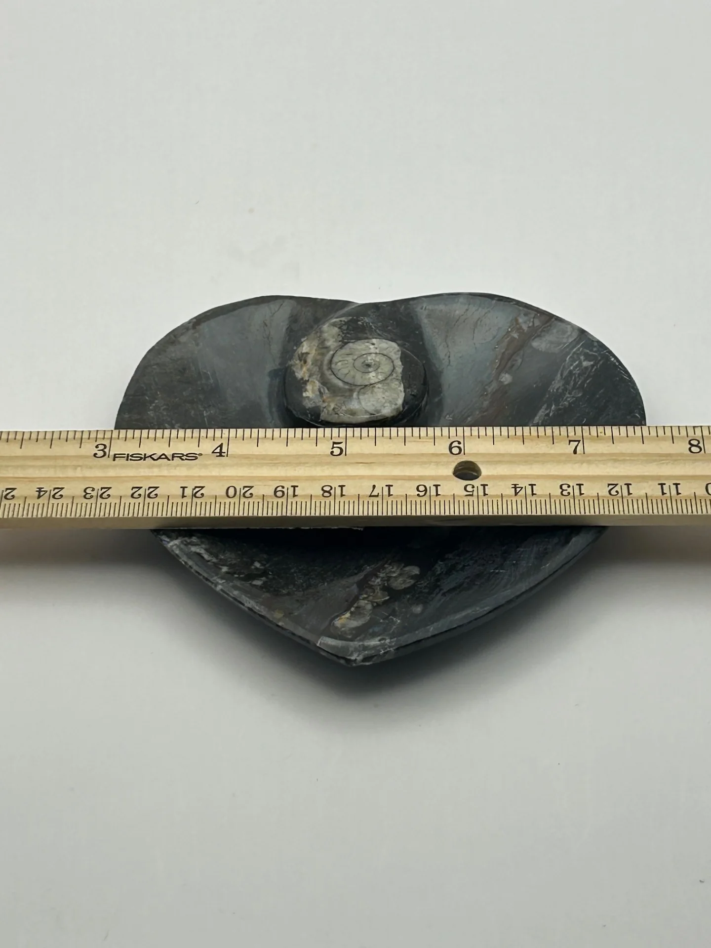 Orthoceras Fossil Heart Shaped Dish - Image 4