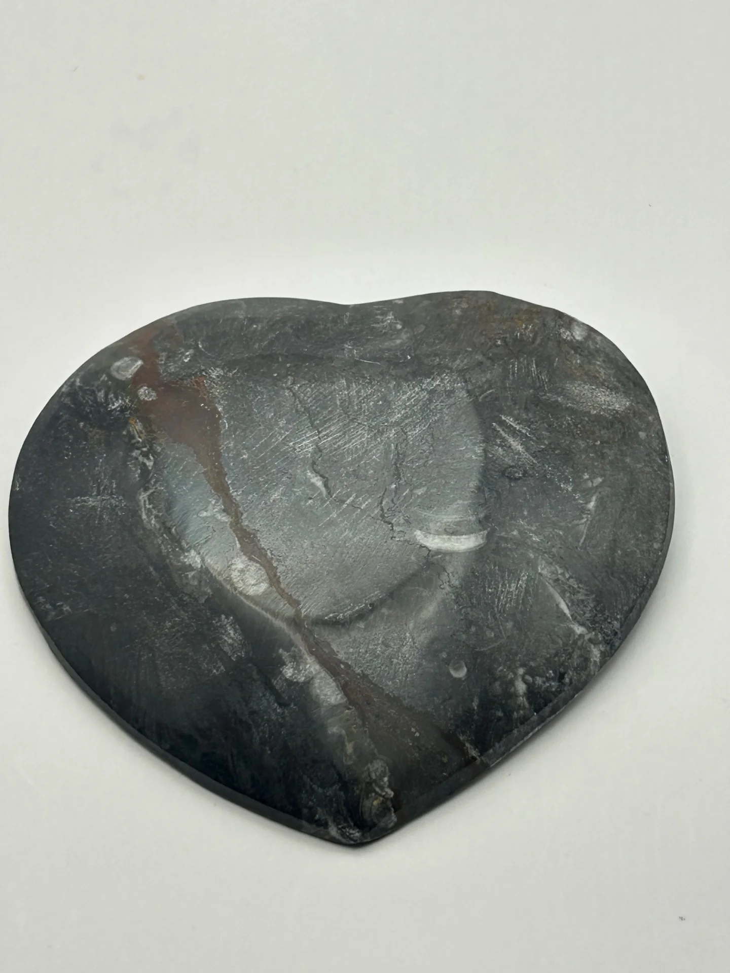 Orthoceras Fossil Heart Shaped Dish - Image 5