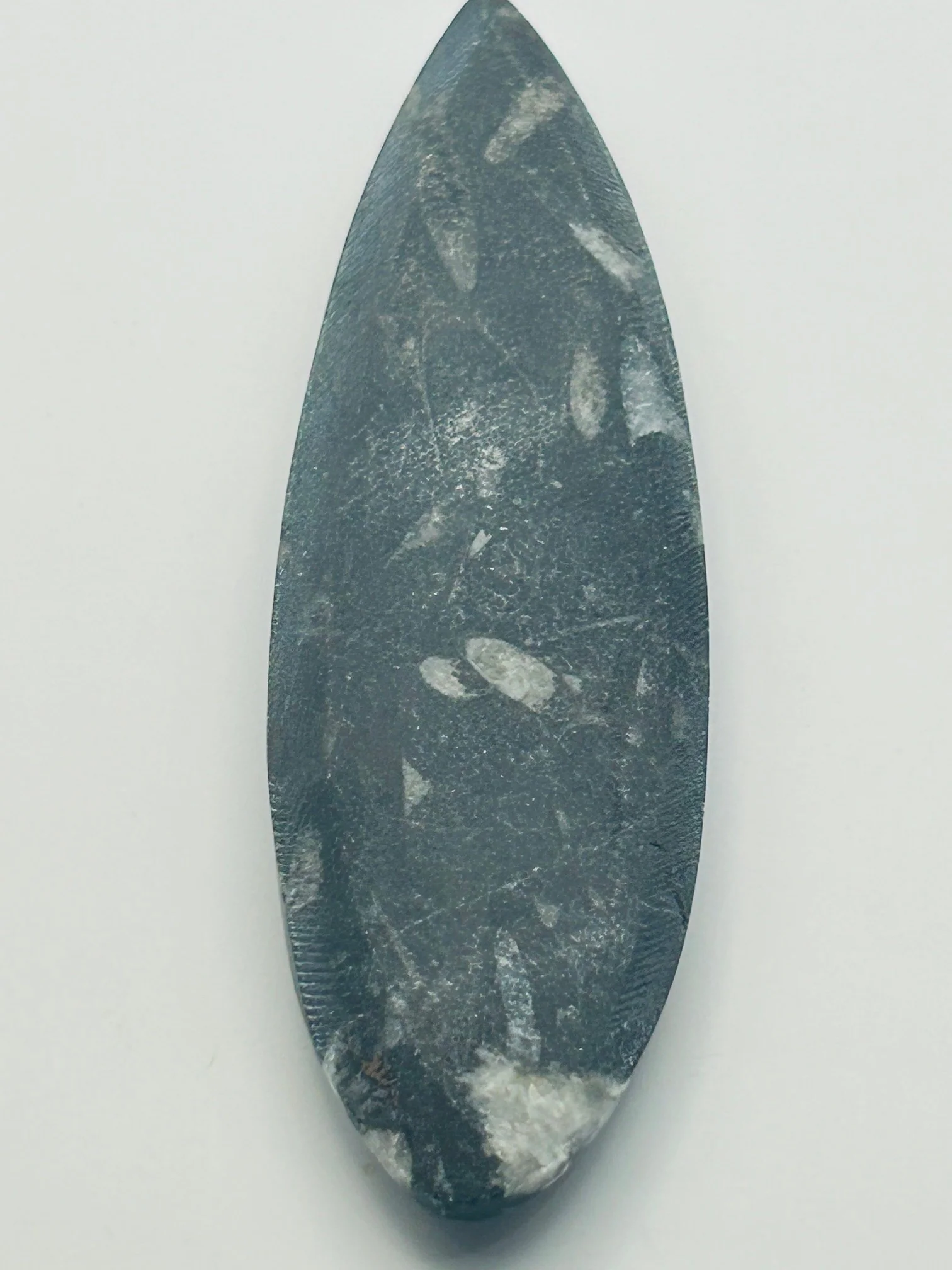 Orthoceras Fossil Spear - Image 2
