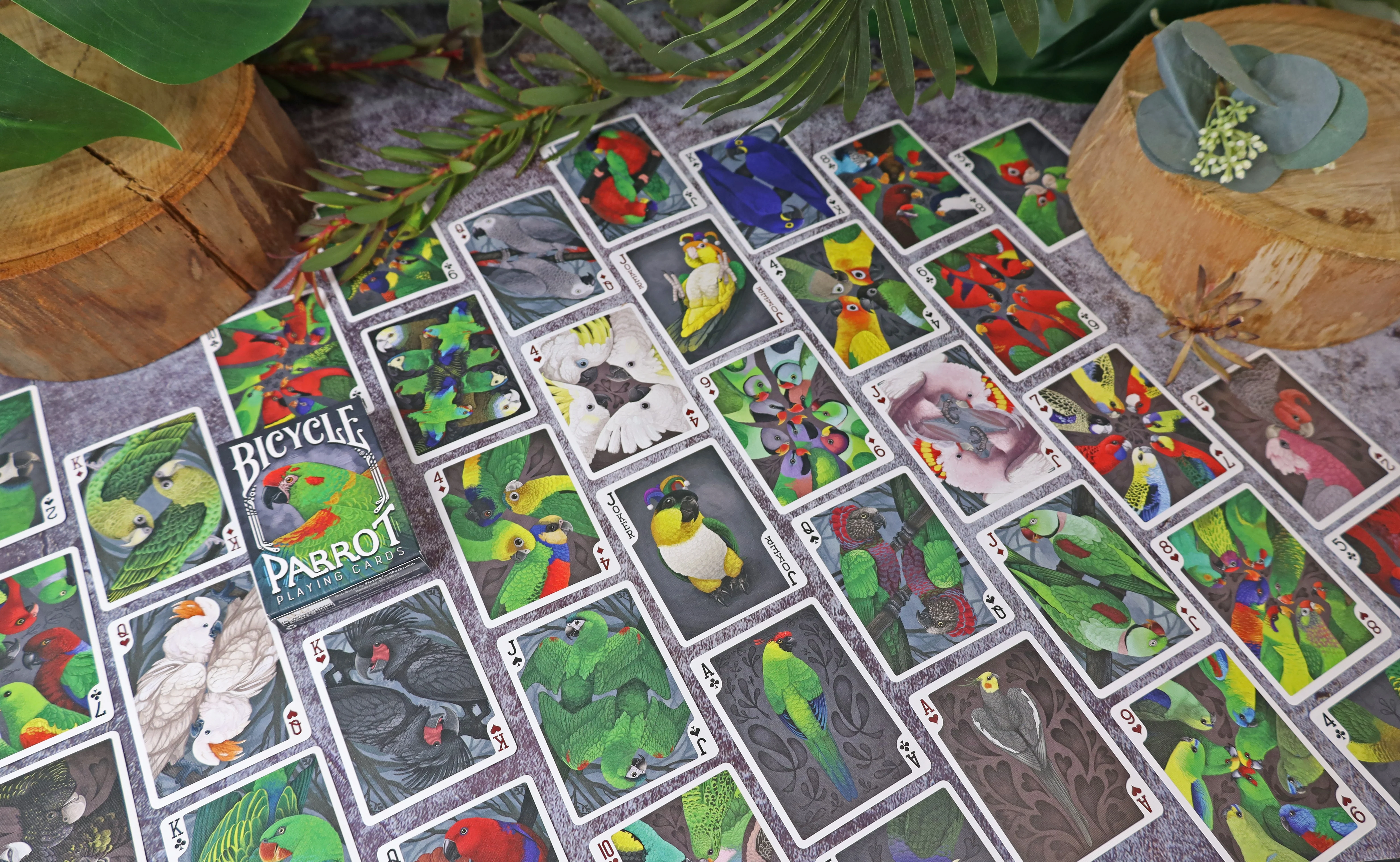 Parrot Bicycle Limited Edition Playing Cards - Image 4