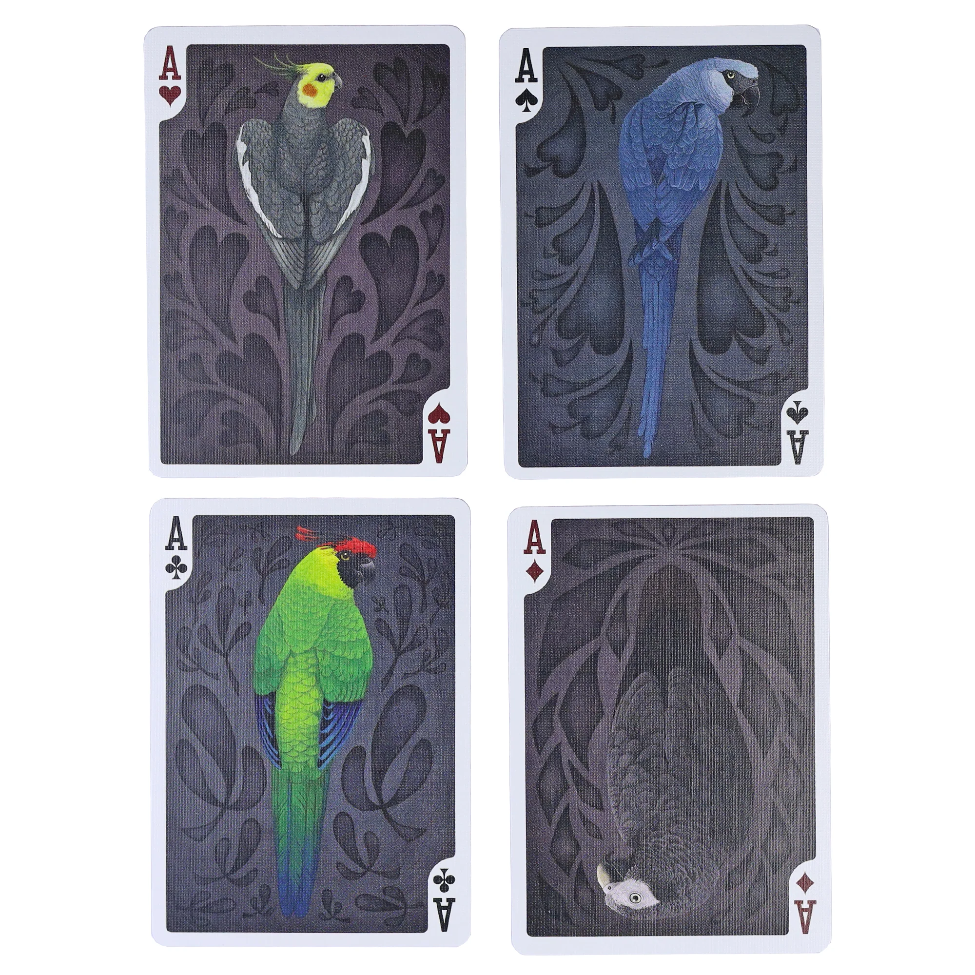 Parrot Bicycle Limited Edition Playing Cards - Image 5