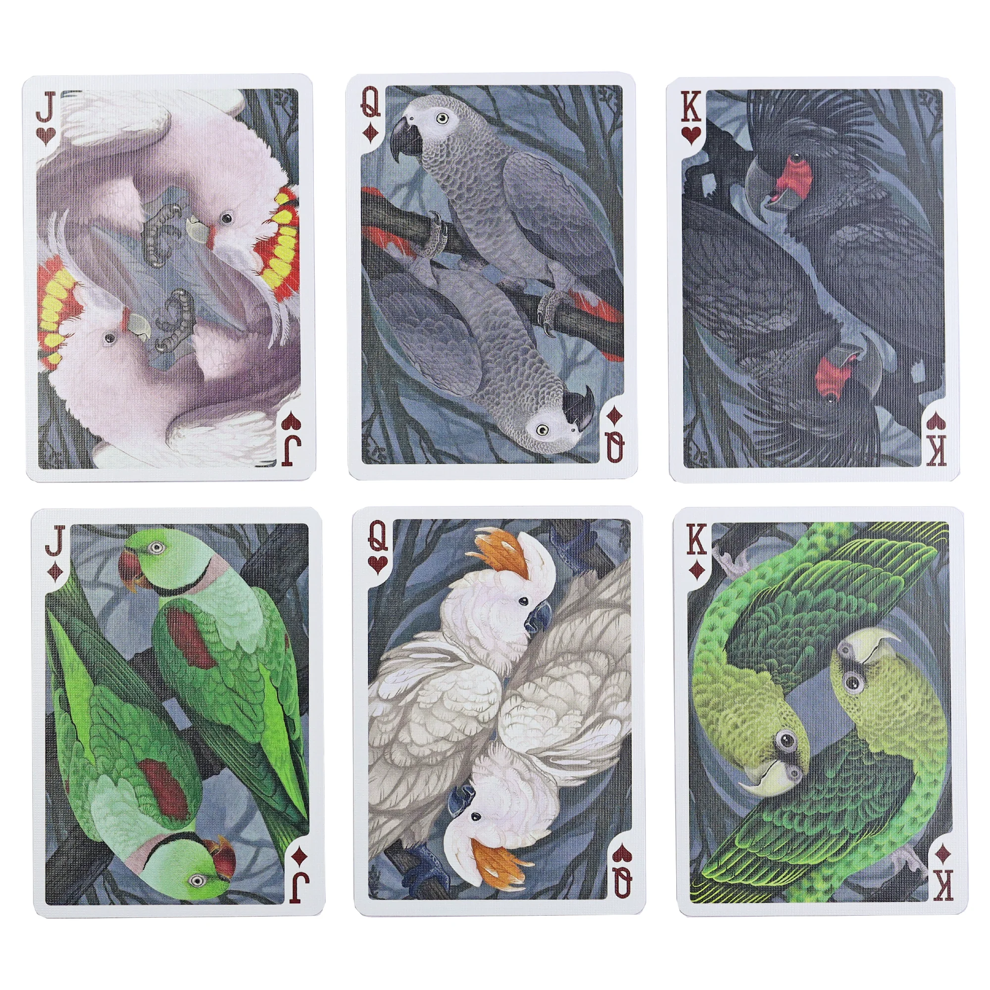 Parrot Bicycle Limited Edition Playing Cards - Image 8