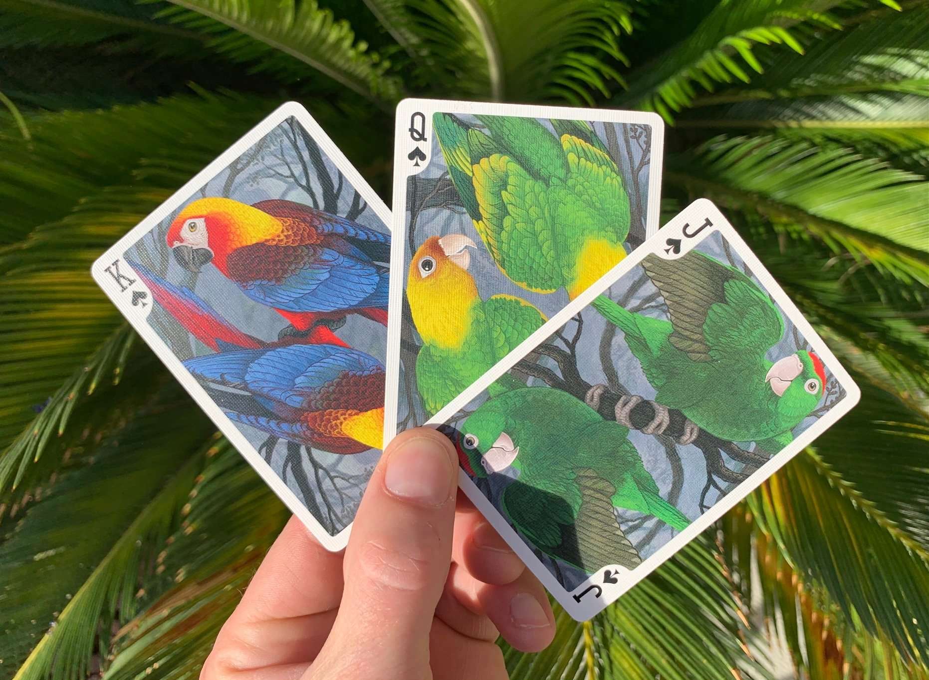 Parrot Extinct Bicycle Playing Cards - Image 6