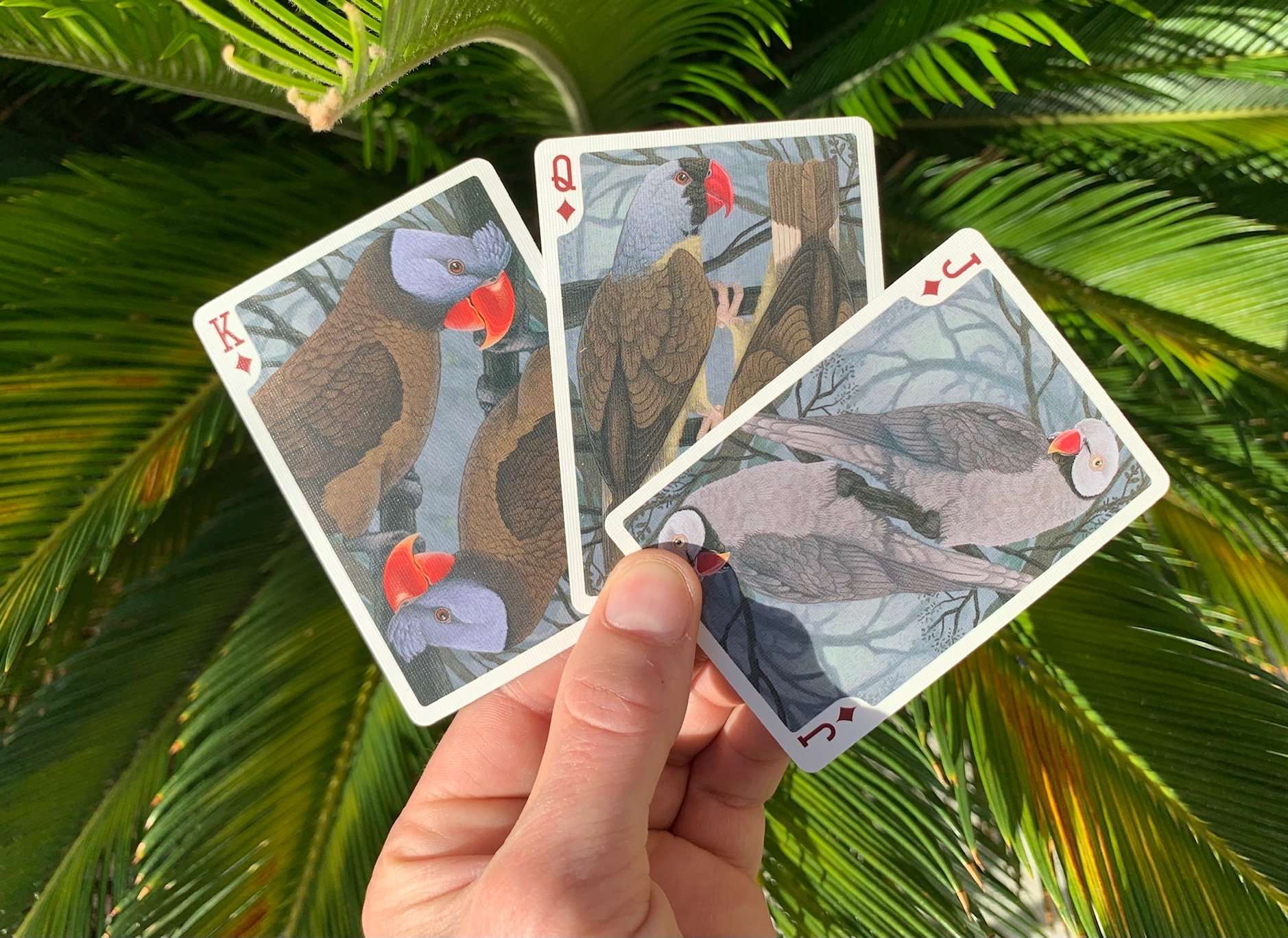 Parrot Extinct Gilded Bicycle Playing Cards - Image 6