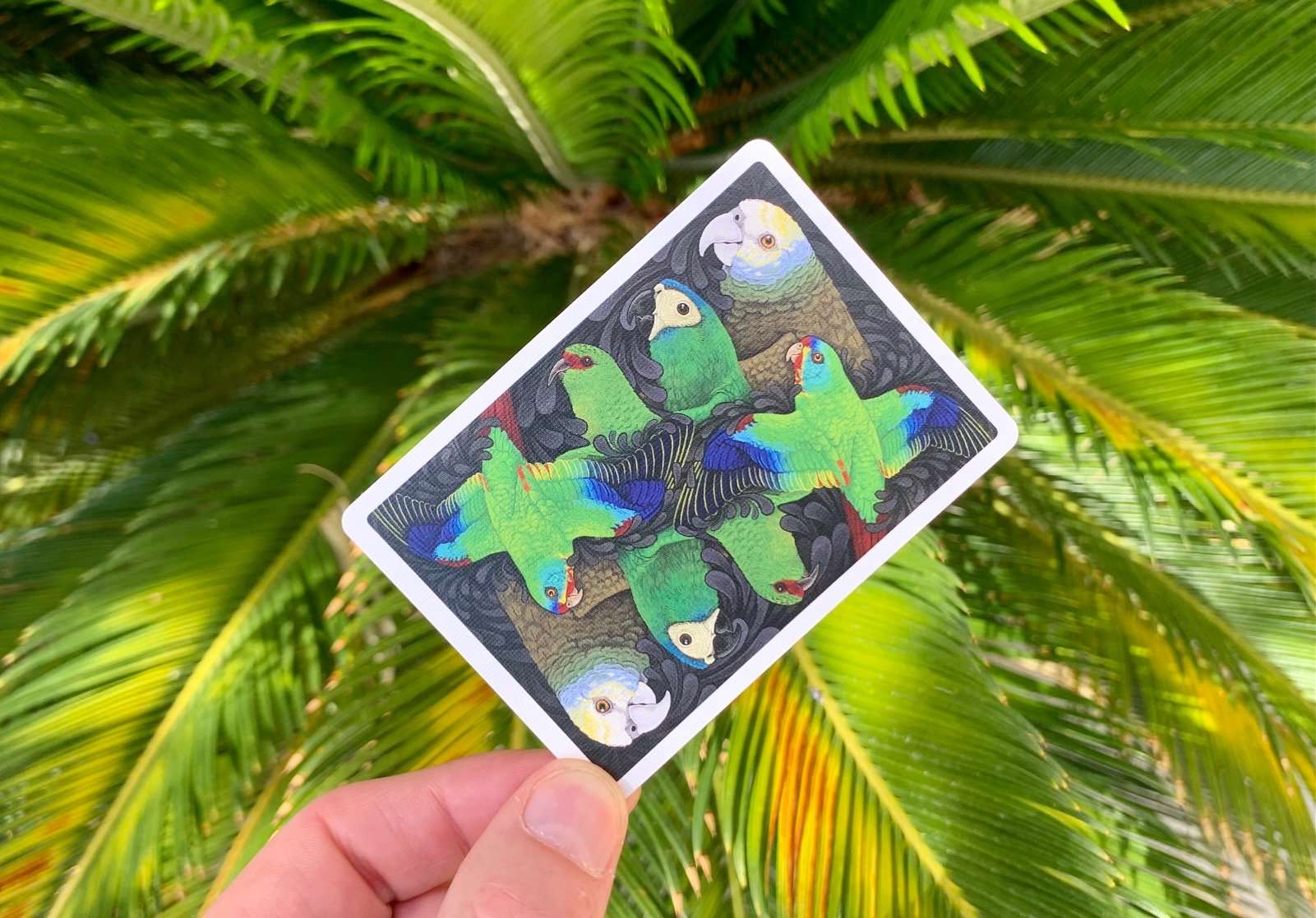 Parrot Gilded Bicycle Playing Cards - Image 4