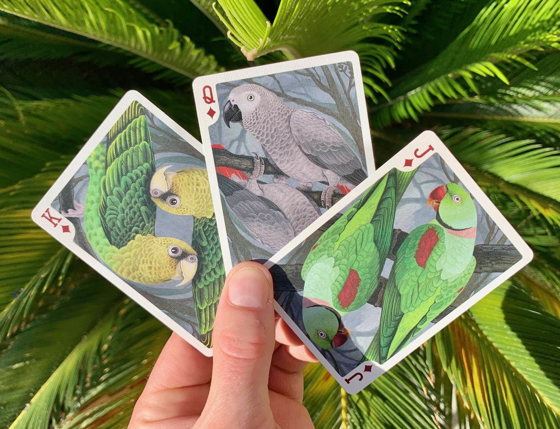 Parrot Gilded Bicycle Playing Cards - Image 5