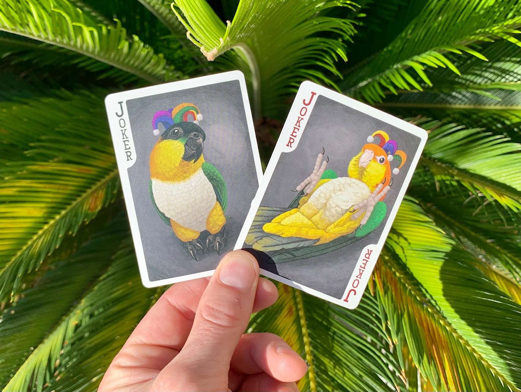 Parrot Gilded Bicycle Playing Cards - Image 9