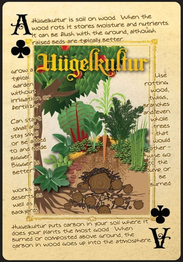 Permaculture Playing Cards - Image 5