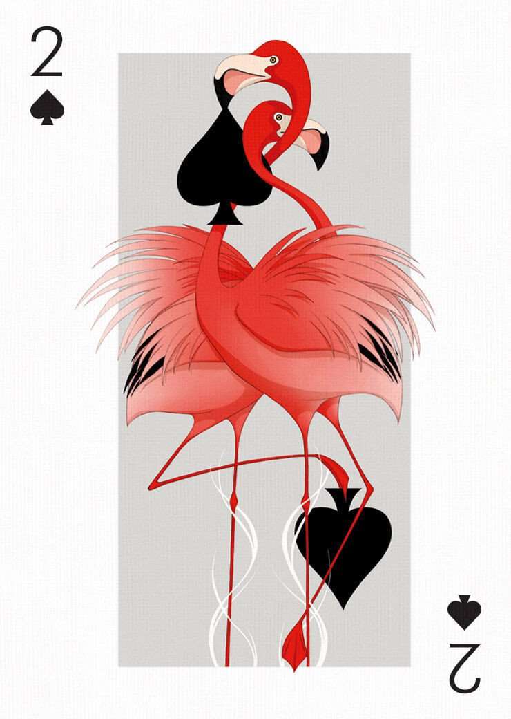 Playing Arts Special Edition Playing Cards Deck USPCC - Image 12