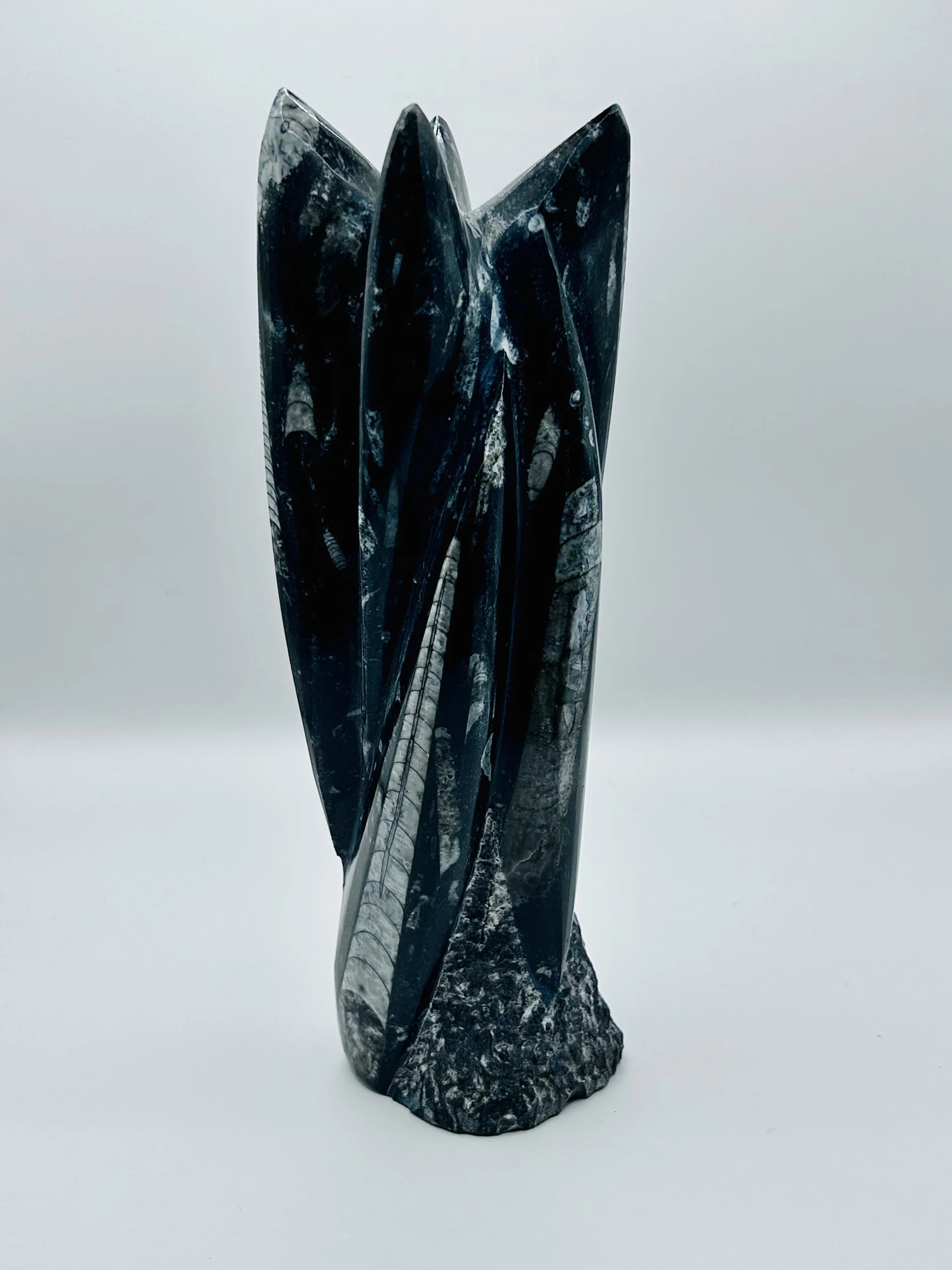 Polished Orthoceras Fossil – 9.5" Sculpture