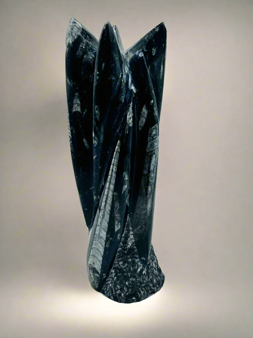 Polished Orthoceras Fossil – 9.5" Sculpture - Image 4