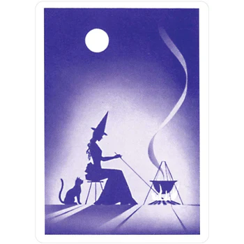 Reading Fortune Telling Cards Deck & Book Set USGS - Image 2