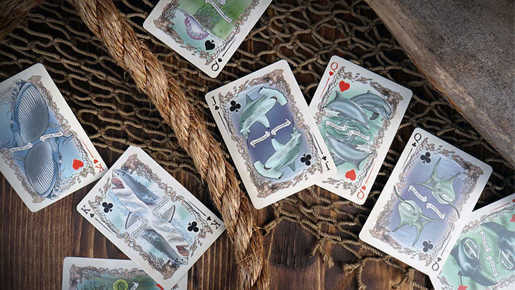 Sea Creatures Brain Vessel Playing Cards USPCC - Image 2