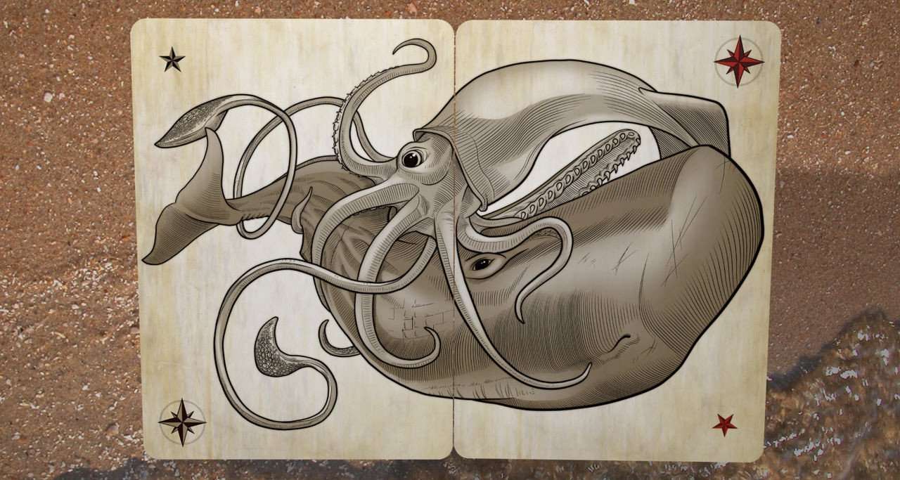 Sea Creatures Playing Cards Deck USPCC - Image 3