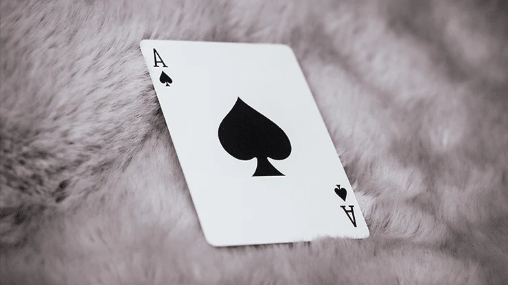 Signature v2 Blue Playing Cards USPCC - Image 4