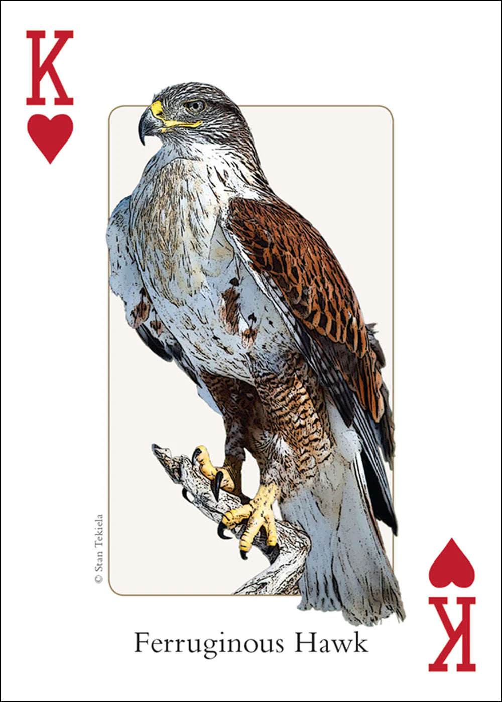 Southwest Birds Playing Cards - Image 4