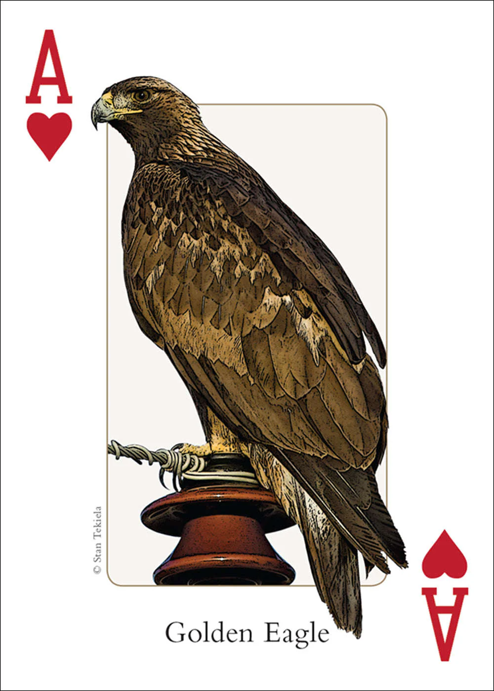 Southwest Birds Playing Cards - Image 5