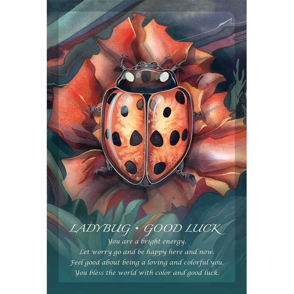Spirit Of the Animals Oracle Cards - Image 8