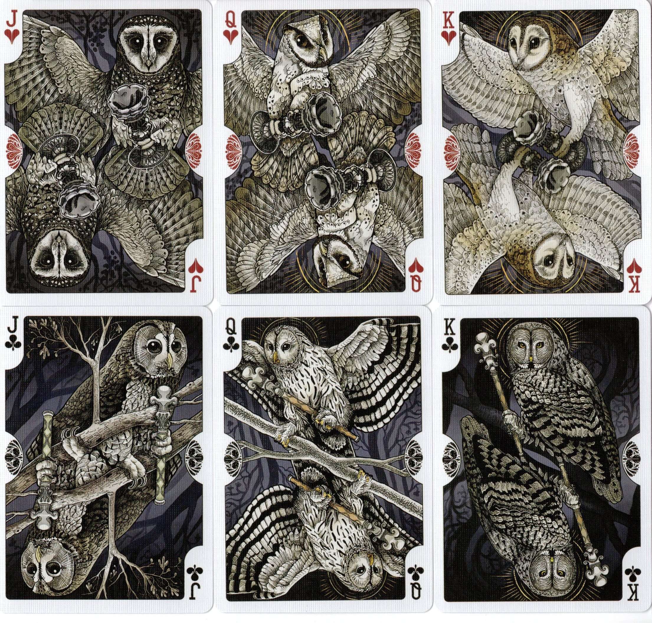 Strigiformes Owl Bicycle Playing Cards - Image 3