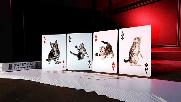 Sweet Cat Bicycle Playing Cards Deck - Image 3