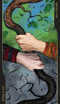 Tarot of Oppositions Deck Lo Scarabeo - Image 4