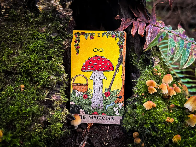 The Mushroom Hunter’s Arcanum - Gold Gilded, Fungi-Themed Tarot Deck - Image 2