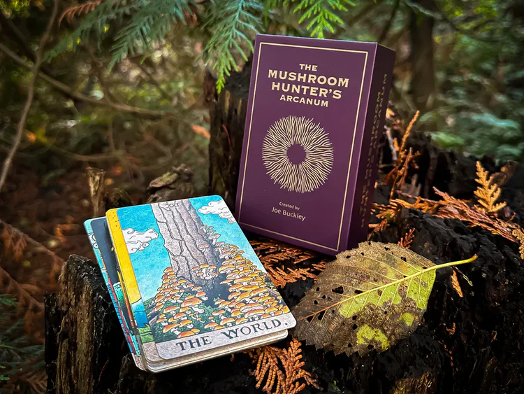 The Mushroom Hunter’s Arcanum - Gold Gilded, Fungi-Themed Tarot Deck - Image 3