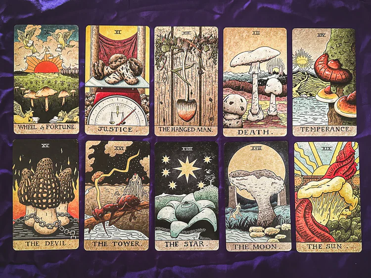 The Mushroom Hunter’s Arcanum - Gold Gilded, Fungi-Themed Tarot Deck - Image 6