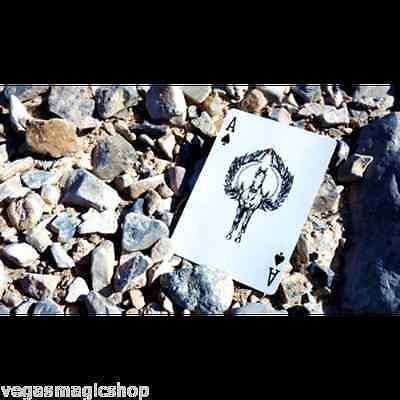 Titan Playing Cards USPCC - Image 4