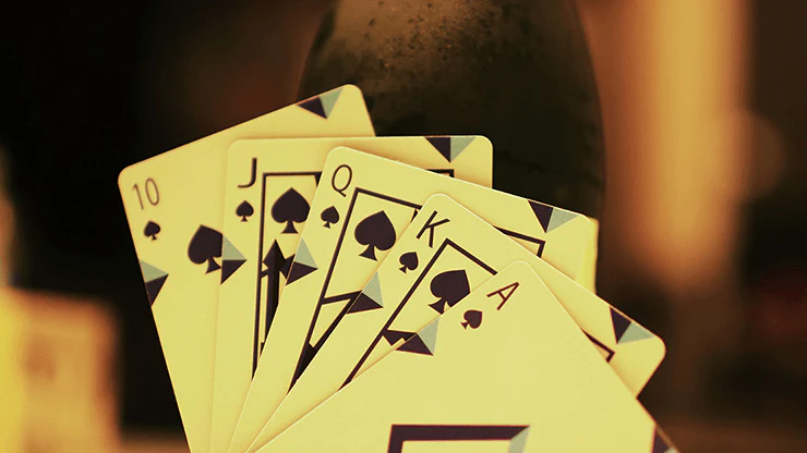 Transflux Playing Cards USPCC - Image 5