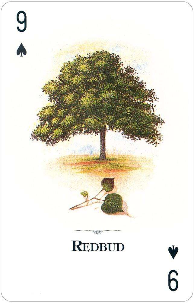 Trees of the Natural World Playing Cards USGS - Image 2