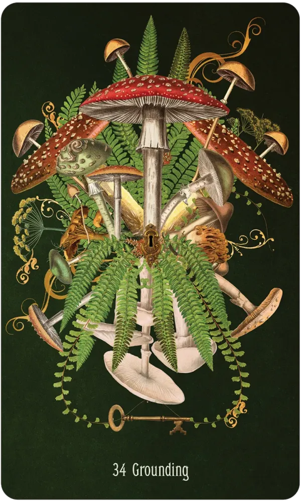 Unlocking the Secret Garden Oracle - Image 6