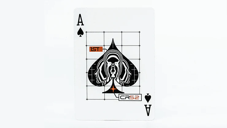 Vektek Security Game Kit with Playing Cards USPCC - Image 4
