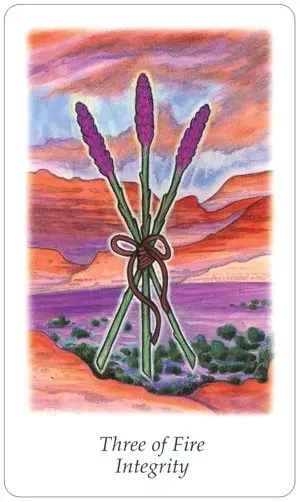 Vision Quest Tarot Deck - Image 5