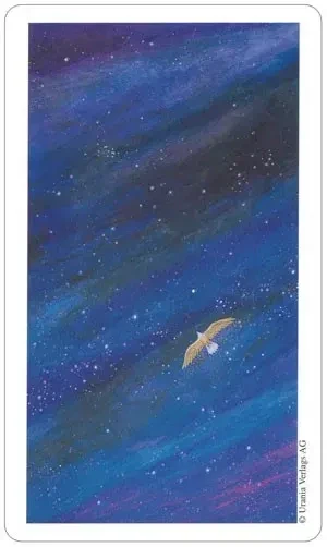 Vision Quest Tarot Deck - Image 8