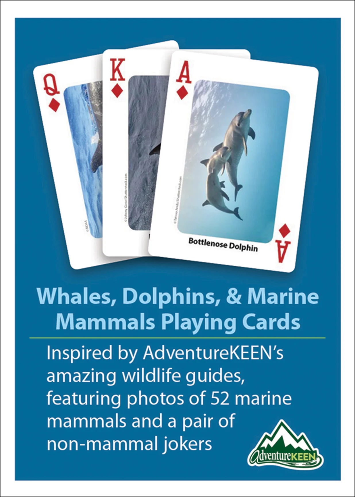 Whales, Dolphins, and Marine Mammals Playing Cards - Image 3