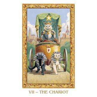 White Cats Mini Tarot Deck - 78 Cards & Instruction Booklet - Image 4